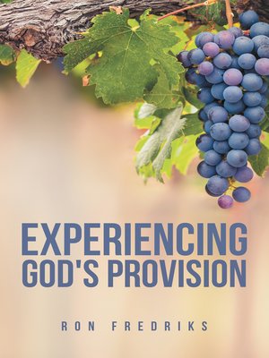 cover image of Experiencing God's Provision